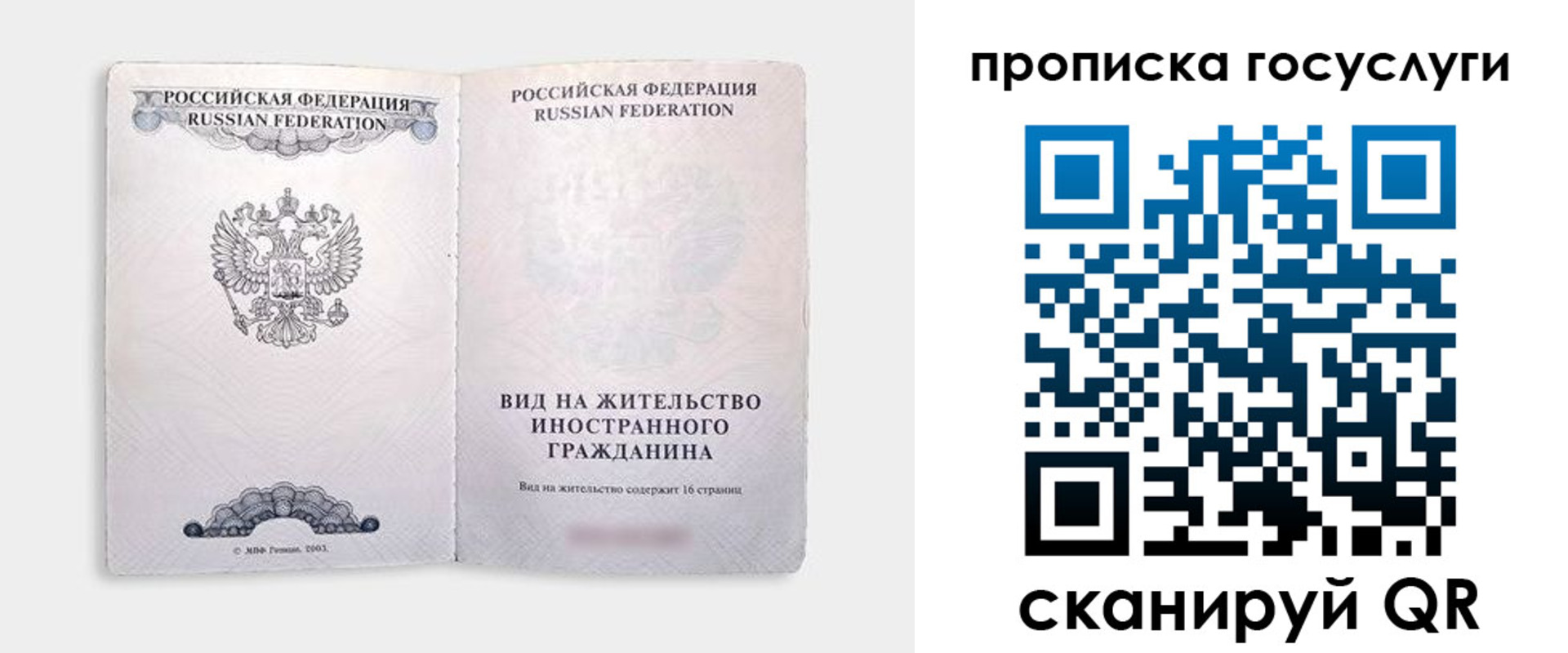 прописка поиск в Чкаловске